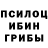 Галлюциногенные грибы Psilocybine cubensis DRAST wee