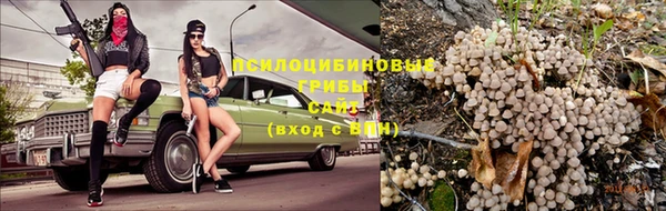 дурь Армянск