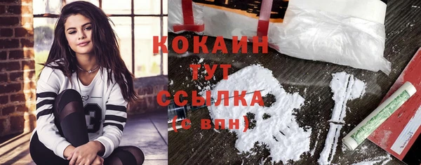 ПСИЛОЦИБИНОВЫЕ ГРИБЫ Переславль-Залесский